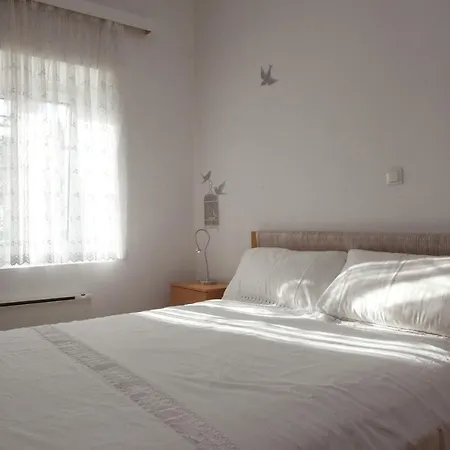 Modern Apt With Large Garden & Parking In Center Apartment